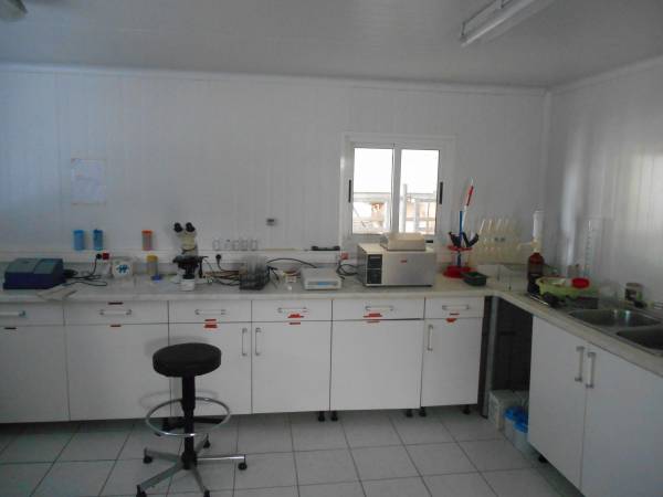 3 Labo collecte bov.JPG