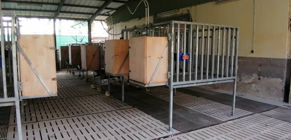 18_Cages individuelles pour bilan digestif.jpg